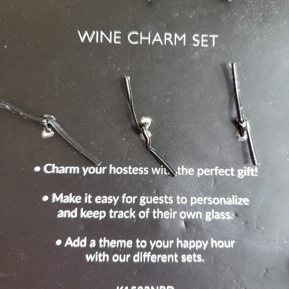 Wine Charms Girls Night In